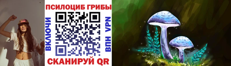 дарк нет наркотические препараты Евпатория Галлюциногенные грибы прущие грибы хочу наркоту